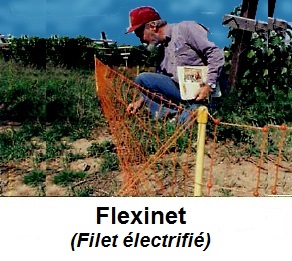 Systéme électrique Flexinet