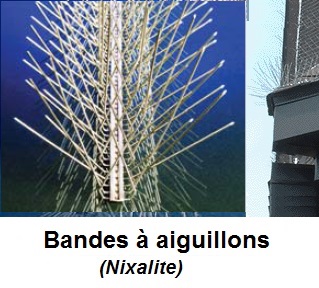 Bandes à aiguilons - Nixalite
