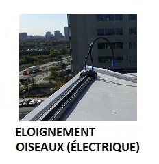 Système à fil électrique